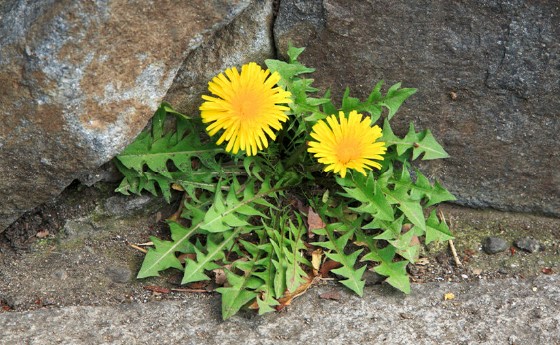 Resilient Moms – Making a Difference