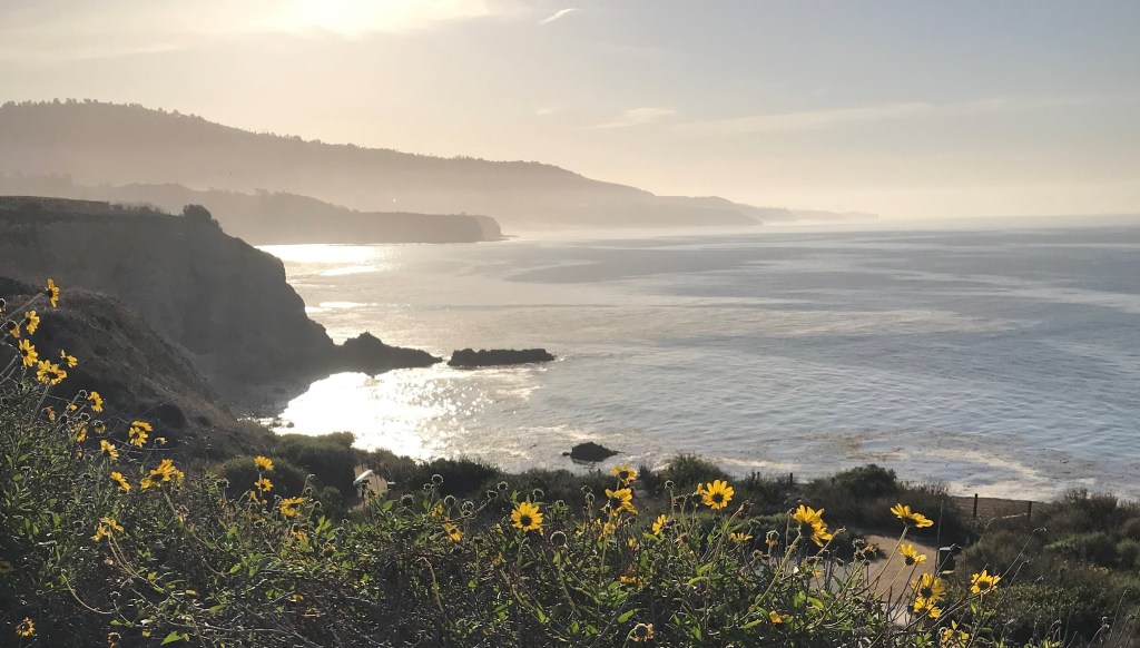 Post #2 It’s All About&nbsp;Luke