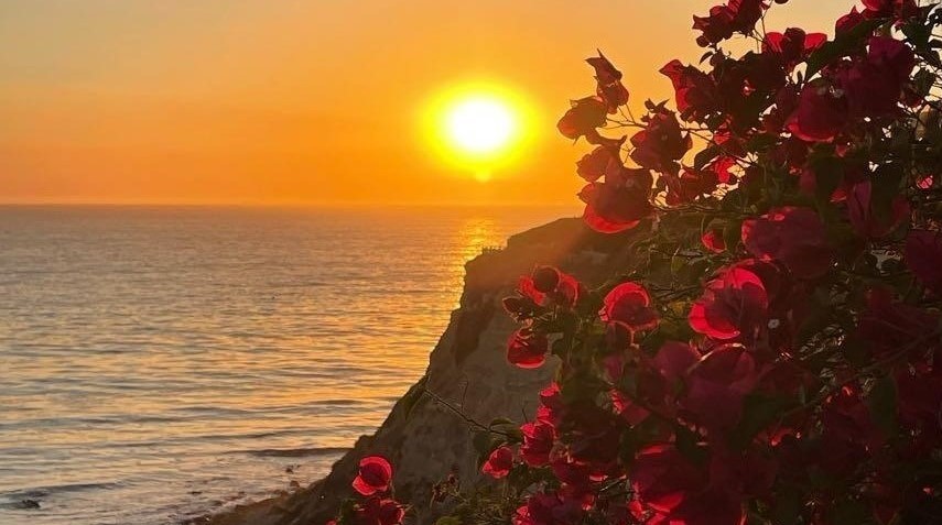 Post #5 Digging&nbsp;In